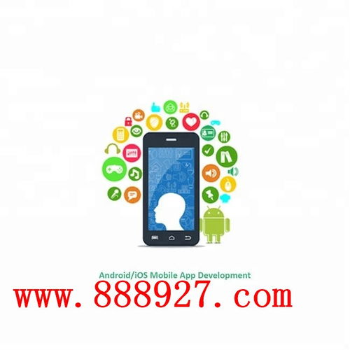 深圳西鄉企業APP開發 科技公司的軟件開發之道